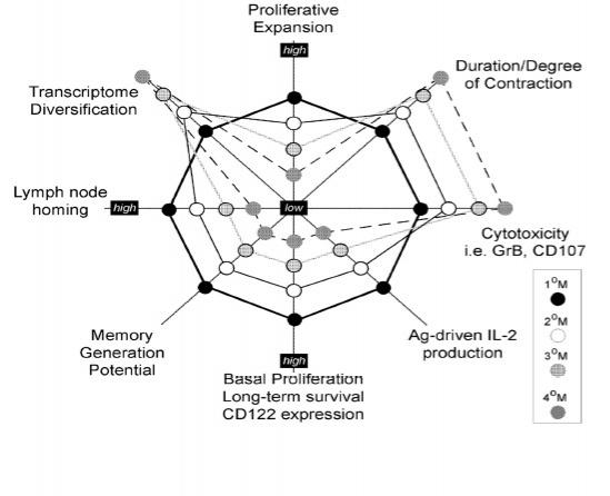 Diagram, read the text for a full description