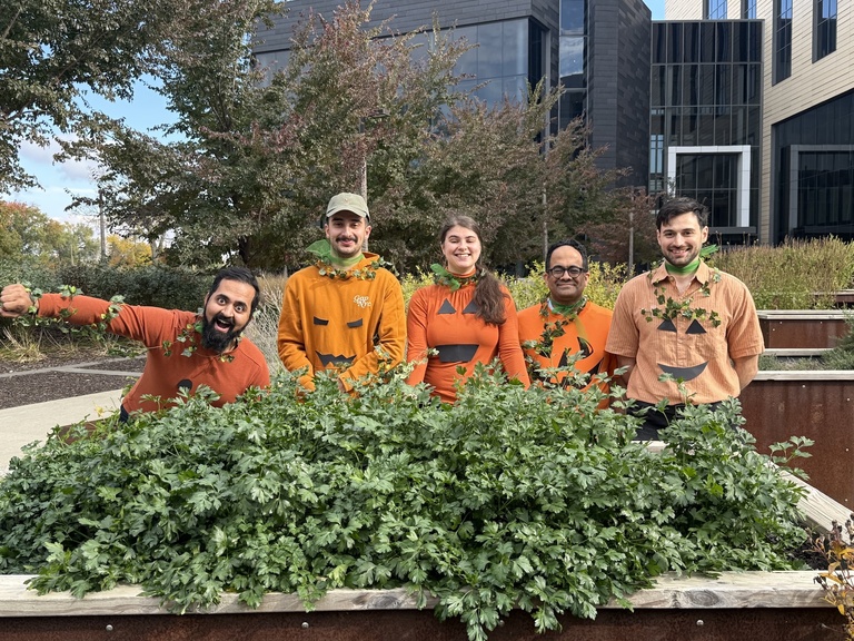 Lab Members wearing pumpkin shirts popping out of some plants